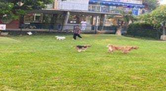 Pesona Hijau Como Park di Tengah Hiruk Pikuk Ibukota, Menjadi Destinasi Warga