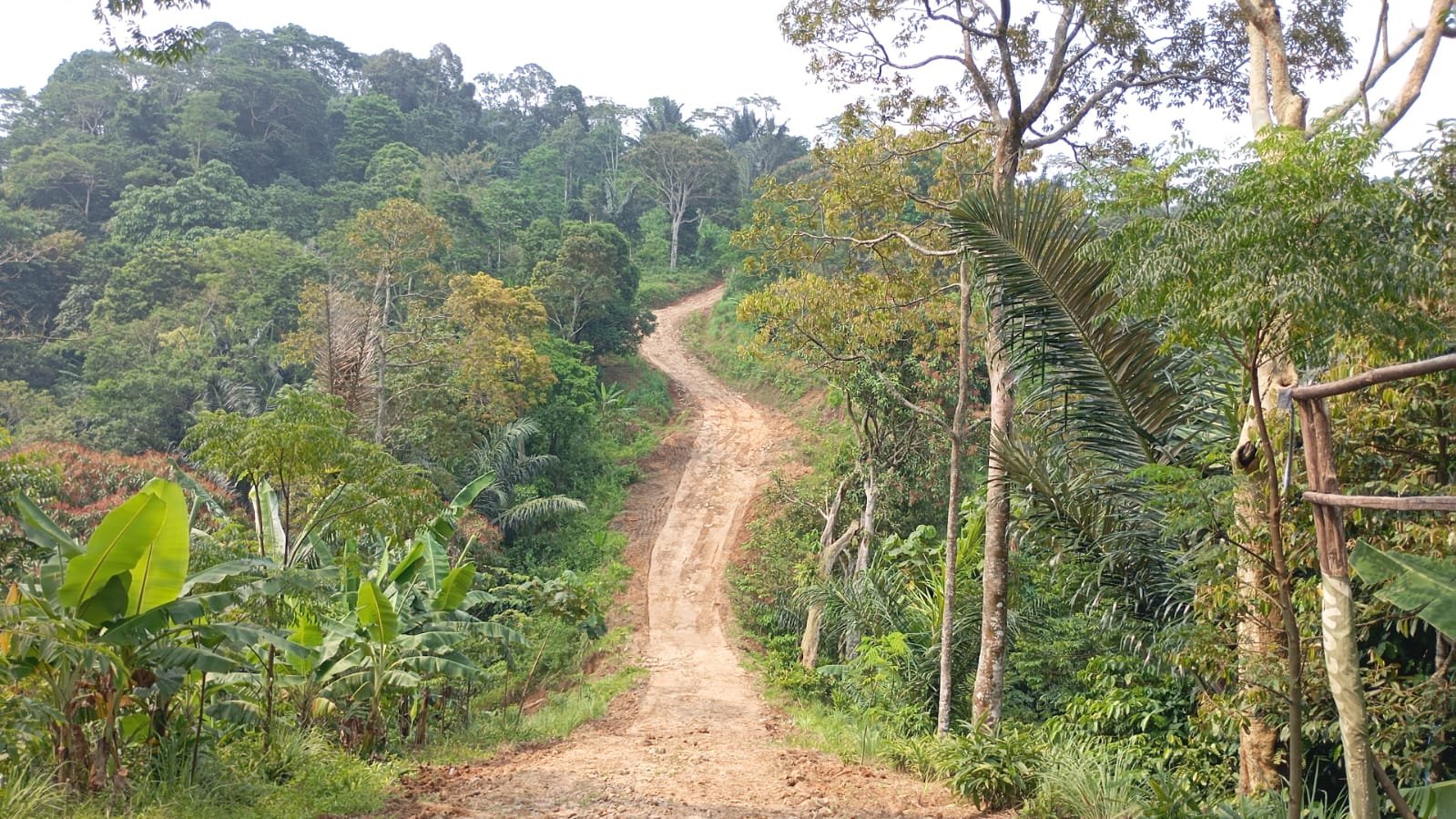 TMMD ke-128 Kodim 0621/Kabupaten Bogor Capai Progres Signifikan di Hari Keenam
